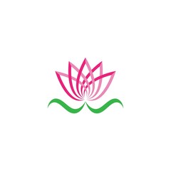 Beauty Vector lotus flowers design logo Template icon