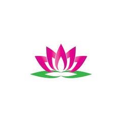 Beauty Vector lotus flowers design logo Template icon