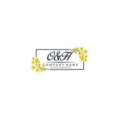 OH Initial handwriting logo vector. Hand lettering for designs