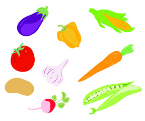 set of vegetables illustration on a white background. A flat illustration of a vegetable graph