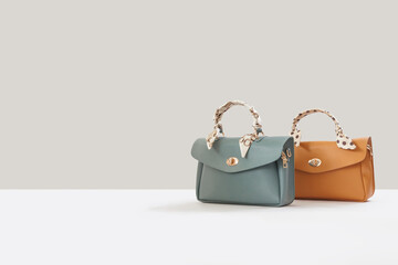 2 colorful fashion handbags isolated on white background