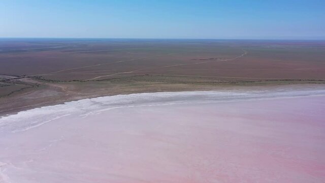Pink salty lake Manych. Saline with pink plankton. Aerial wide shot from top to bottom on a summer sunny day. Dagestan, Russia