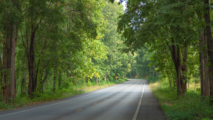 Landscape with empty asphalt road through woods in summer. Travel