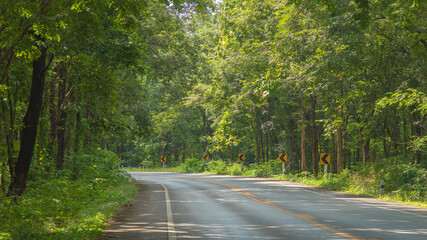 Obraz premium Landscape with empty asphalt road through woods in summer. Travel