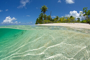 rangiroa - tuamotu - excursion à l ile aux recifs