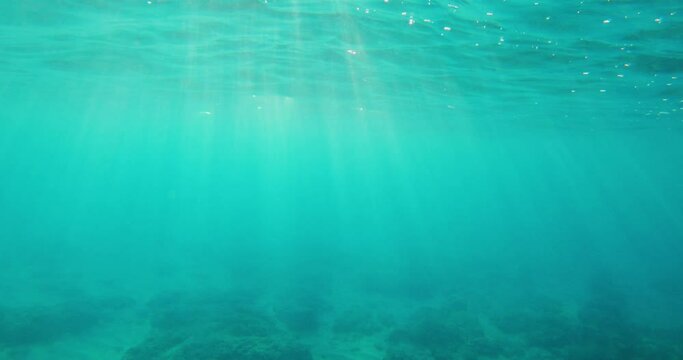 Hawaii Maui under water ocean shot