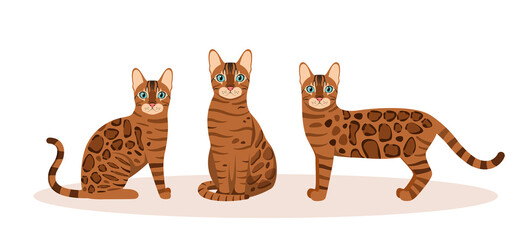 A set of Bengal cats on a white background. Cartoon design.
