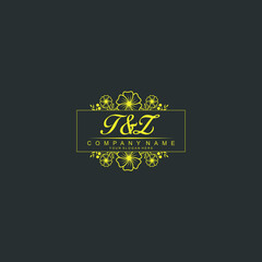 TZ Initial handwriting logo vector. Hand lettering for designs