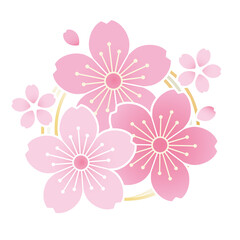 桜の花と金銀の水引のデザイン　ベクターイラスト