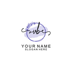 Initial VB beauty monogram and elegant logo design  handwriting logo of initial signature