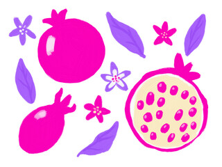 Pomegranate, leaf, flower clip art set. Pink, violet fruit illustration isolated on white. Bright botanical design elements collection.