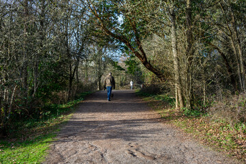 Weathered gravel trail in Luther Burbank Park, winter recreation on a sunny day, Washington State
