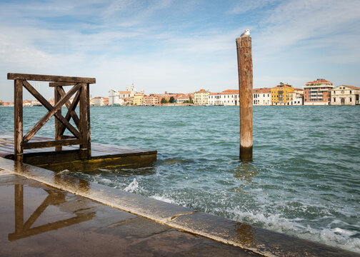  A seagull in front of the Venice lagoon with st Marc's square and the Doge's palace blurry in the background