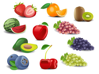 a variety of fruits. vector illustration