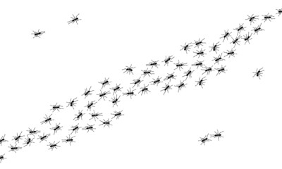 Worker ants trail line flat style design vector illustration isolated on white background. Top view of ants bug road trail marching in the line row. Pest control or insect searching concept.