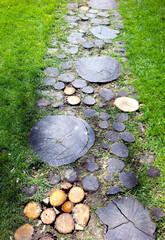 Wood-stone path in the garden