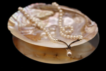 selective focus to a mother of pearl shell with natural pearls, with a pearl necklace, on circular mirror on black background