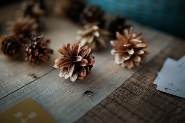 cones for decor, larch and pine cones bleached with chlorine bleach on a wooden table, materials for creativity
