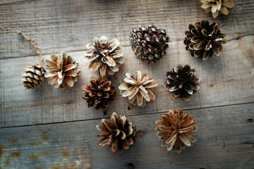 cones for decor, larch and pine cones bleached with chlorine bleach on a wooden table, materials for creativity