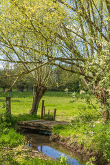 Fototapeta premium Espace naturel Sensible du Marais de Guînes