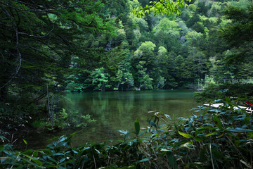 森の中の湖
