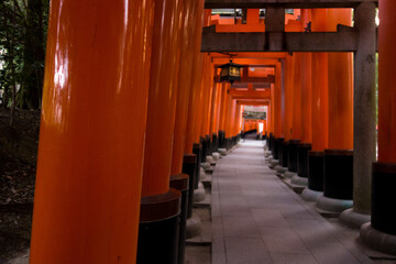 京都　千本鳥居　伏見稲荷大社