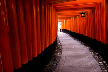 京都　千本鳥居　伏見稲荷大社
