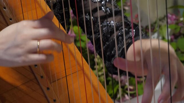 Woman plays harp. Hands close up