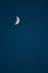 Naklejka na ściany i meble Half moon on a blue evening sky