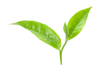 tea leaves isolated on white