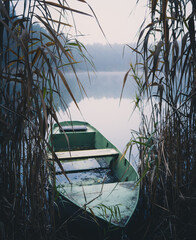 Boot an einem See im Schilf