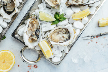 Fresh oysters with lemon and ice. Restaurant delicacy. oysters dish. Oyster dinner with champagne in restaurant, banner, menu, recipe place for text, top view
