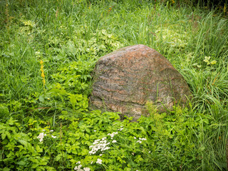 Obraz premium Big granite boulder in green grass after rain