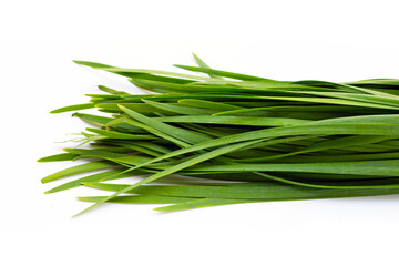 Fototapeta premium Fresh Chinese Chive leaves on white background.