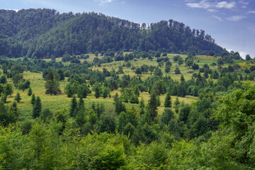Fototapeta na wymiar Transylvanian highlands