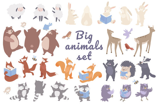 Big animals set concept isolated on background. Bundle of cute pets. Sheep, rabbits, bears, deer, foxes, squirrels, raccoons, owls, boar, hedgehog, badger. Vector illustration in flat cartoon design