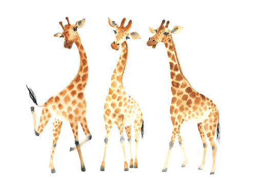 giraffe clipart for kids