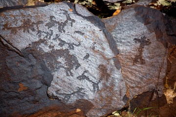 Petroglyphs on the rocks in Kazakhstan. The ancient parking cave man. Historical cave paintings....
