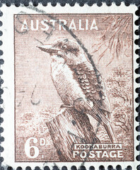 Australia - circa 1956: a postage stamp from Australia , showing a Kookaburra bird (Dacelo...