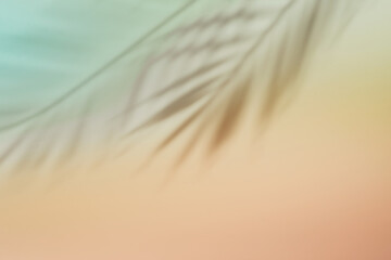 Natural palm leaves shadow on gradient paper background. Abstract pink and mint tropical backdrop. Soft light