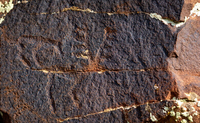 Petroglyphs on the rocks in Kazakhstan. The ancient parking cave man. Historical cave paintings. Carved on stone images of deer, goats and wolves. The development of ancient peoples.