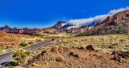 Fototapeta na wymiar del Teide National Park, Tenerife, Canary Islands, Spain.