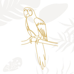 parrot continuous line drawing, on an abstract background, vector, isolated © zolotons