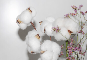 vintage bouquet of twigs and cotton flowers. Greeting card, on a white background