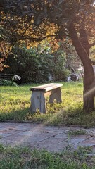 bench in the garden