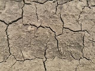 texture of dry cracked earth. natural snapshot