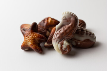 Chocolates seashells isolated on white background.