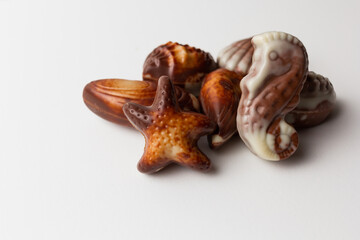 Chocolates seashells isolated on white background.