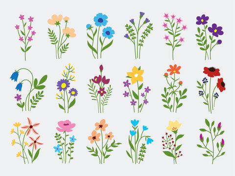 Set of flowers bouquet. Collection of minimalist bouquets of beautiful wildflowers. Linear art. Botany. Vector illustration for design of decorative elements of plants.