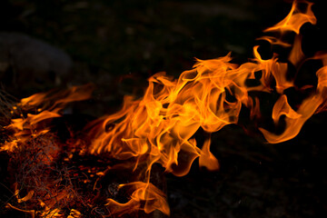 Flame of fire on black background. Fire close-up. Forest fires, burning trees. Firewood by the...